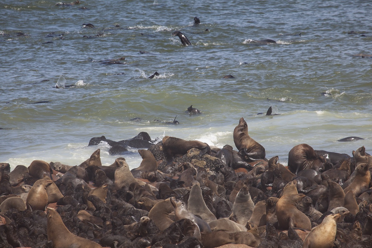 Namibia