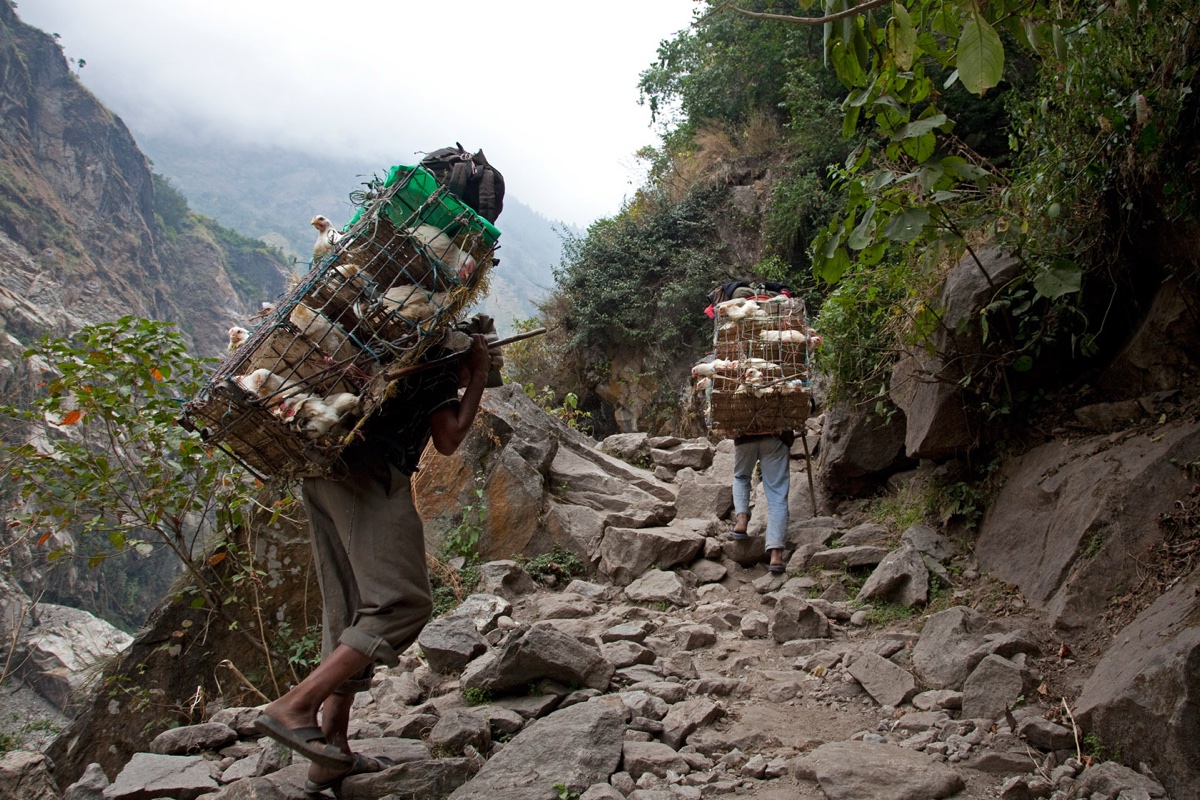 Nepal