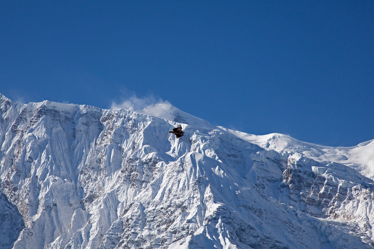 Nepal