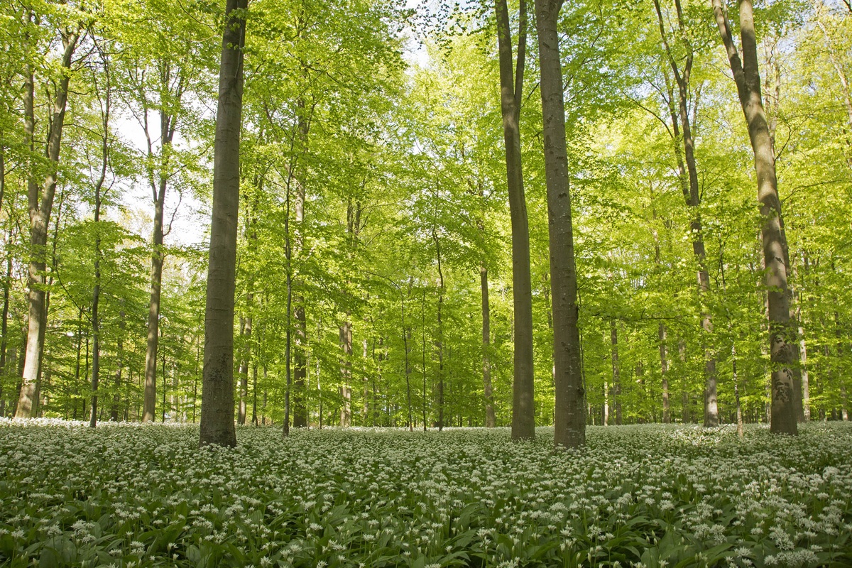Samsø