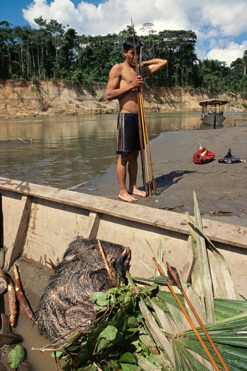 The Amazon