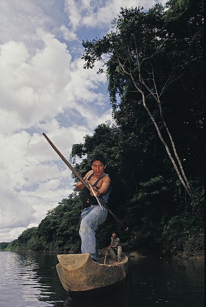 The Amazon