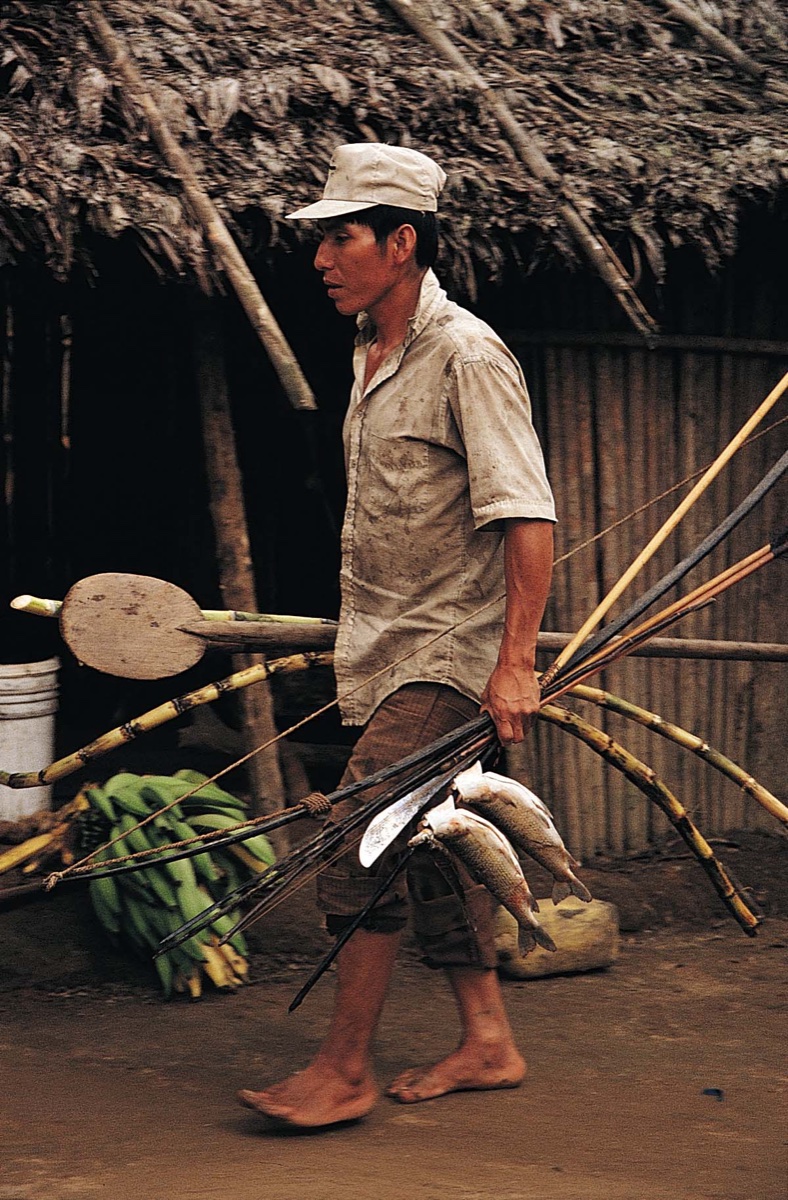 The Amazon