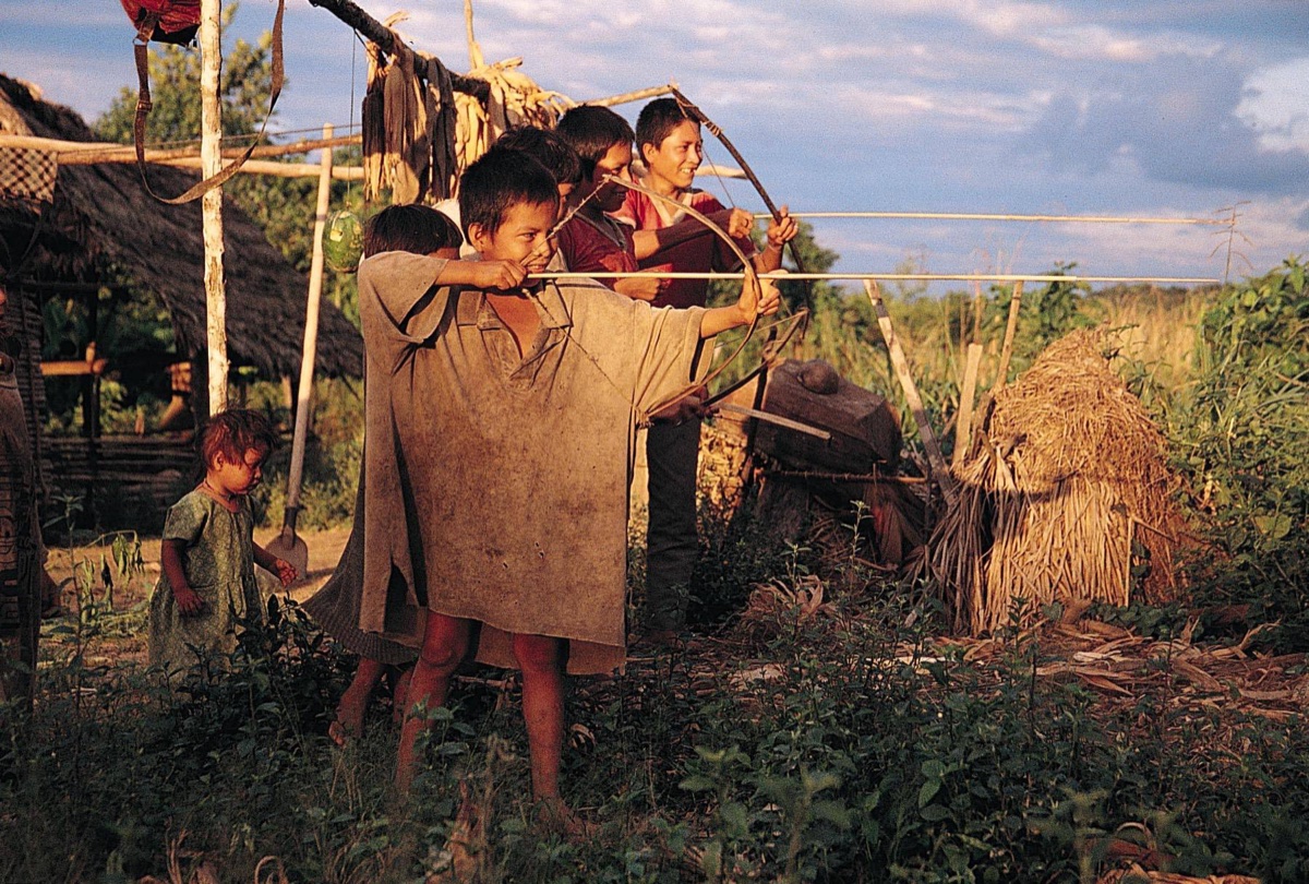 The Amazon