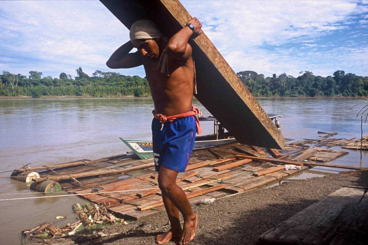 The Amazon