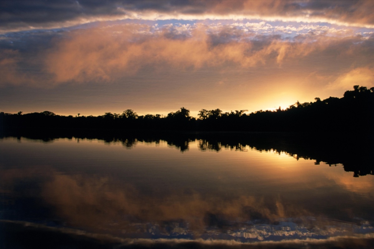 The Amazon